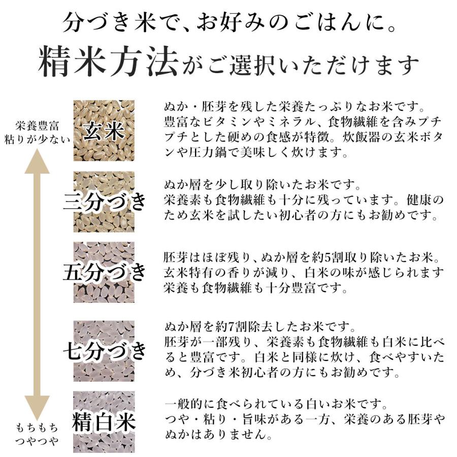 ちゅらひかり 沖縄県 石垣島産 10kg / 5kg×2袋 米 お米 令和6 ちゅらひかり 沖縄県 石垣島産 10kg / 5kg×2袋 米 お米 令和6