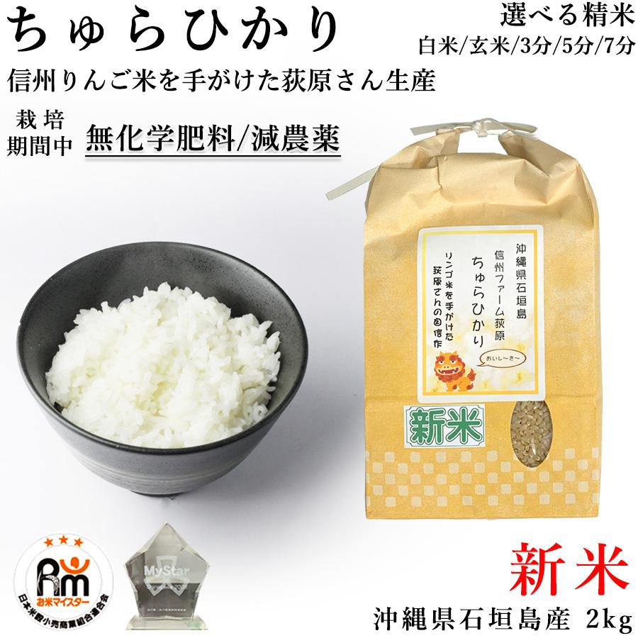 食品 ひかり米 20kg (10kg*2)国内産新米(令和8年4月