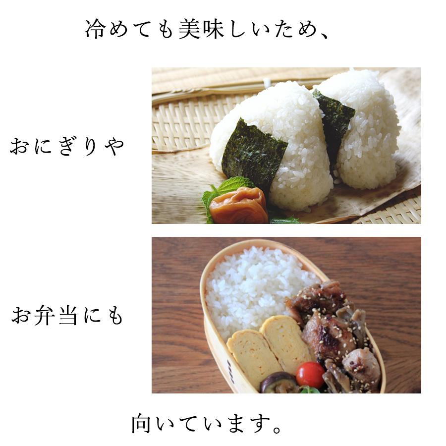 新米 令和6年 千葉県産ブランドMIX 約20キロ 新米 令和6年 千葉県産ブランドMIX 約20キロ