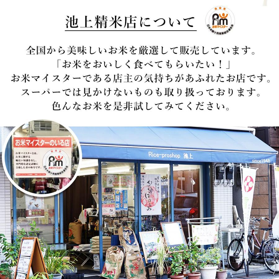 ふさおとめ 新米 千葉県 2kg 米 お米 令和7年産 玄米 2キロ お米マイ 