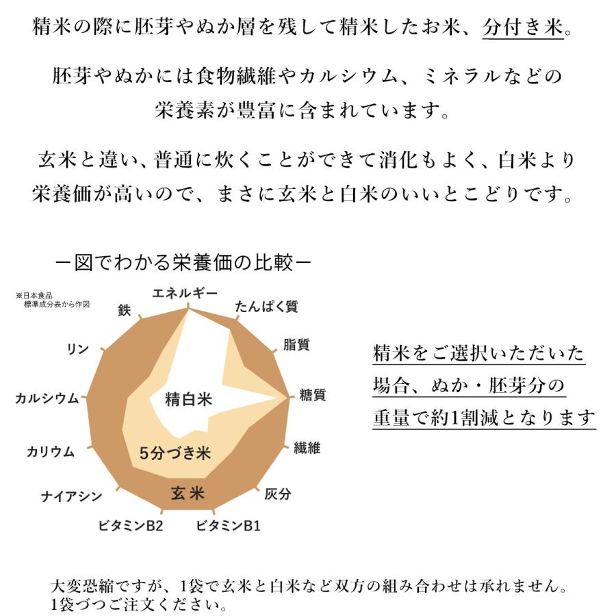 米 お米 10kg 特別栽培米 ヒノヒカリ 天空の郷 高知県 本山町 棚田 玄米 10キロ お米マイスター 令和5年度 玄米10kg 5kg×2袋 精米 3分 5分 7分 白米｜ebarabo｜06