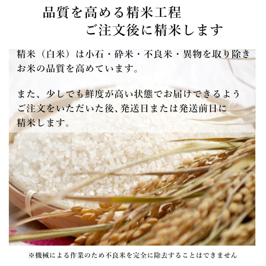 ヒノヒカリ 米 お米 5kg 特別栽培米 天空の郷 高知県 本山町 ヒノヒカリ 米 お米 5kg 特別栽培米 天空の郷 高知県 本山町