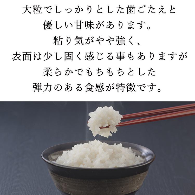 新米 お米 5kg 特別栽培米 一番星 茨城県 潮来市 JAなめがた しおさい