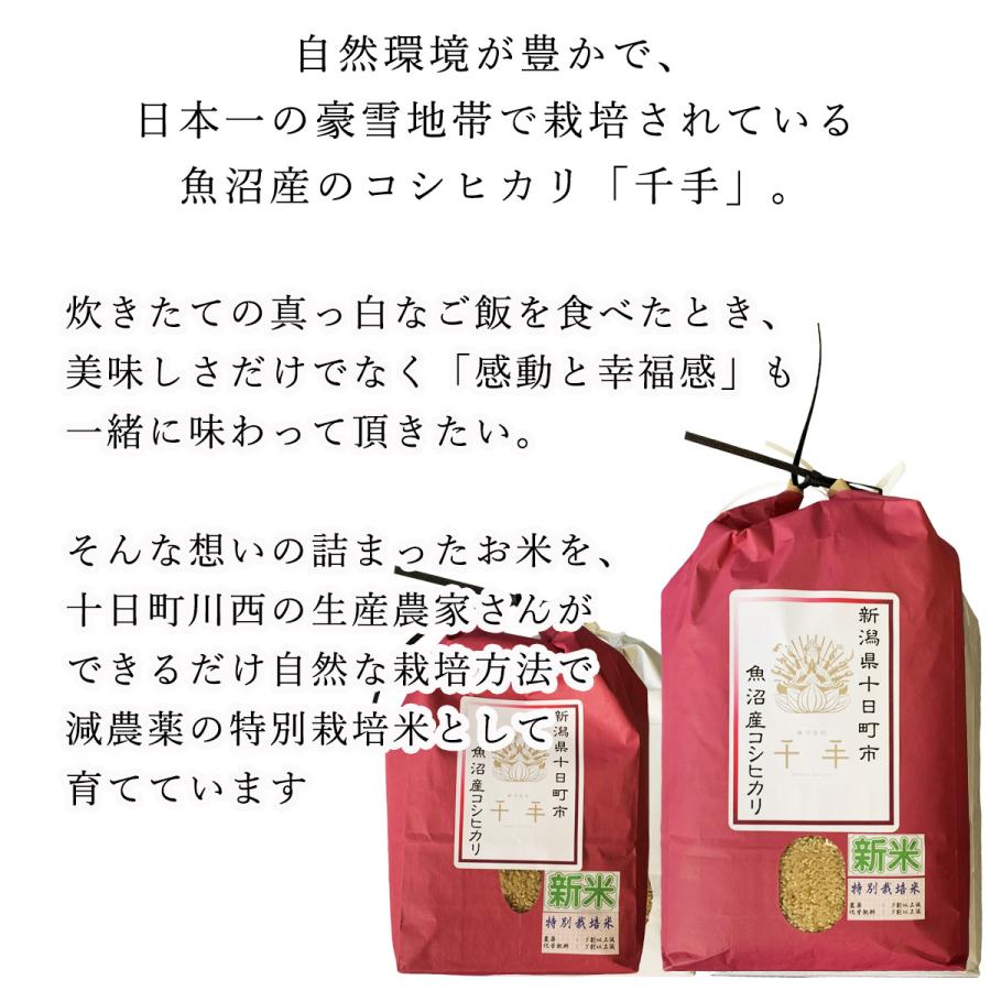 コシヒカリ お米 2kg 特別栽培米 魚沼産 千手 新潟県 十日市町市 コシヒカリ お米 2kg 特別栽培米 魚沼産 千手 新潟県 十日市町市