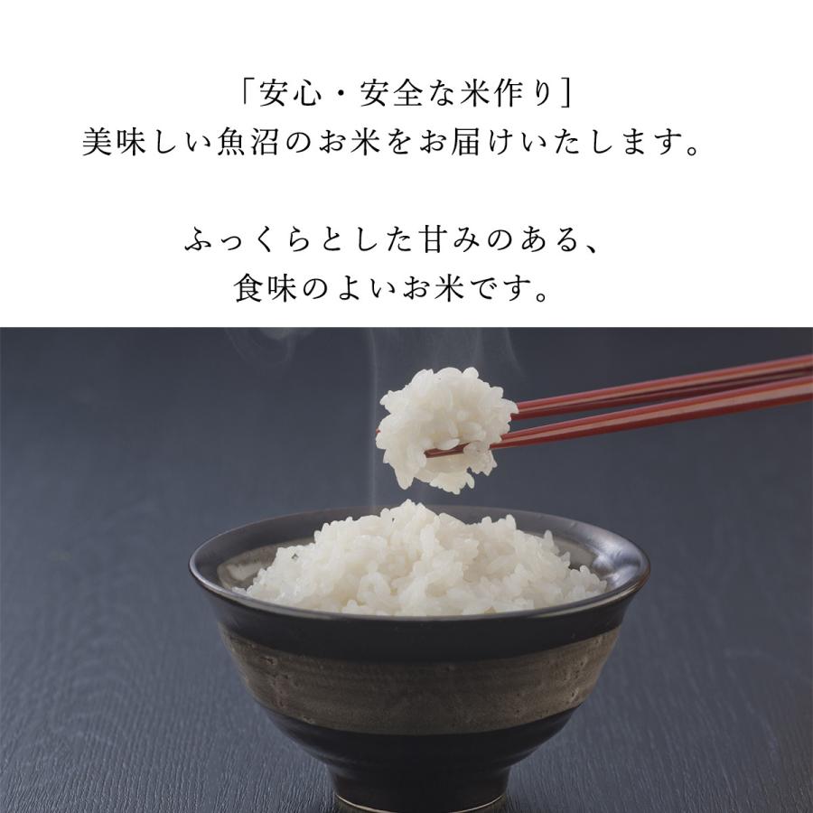 コシヒカリ お米 2kg 特別栽培米 魚沼産 千手 新潟県 十日市町市 コシヒカリ お米 2kg 特別栽培米 魚沼産 千手 新潟県 十日市町市