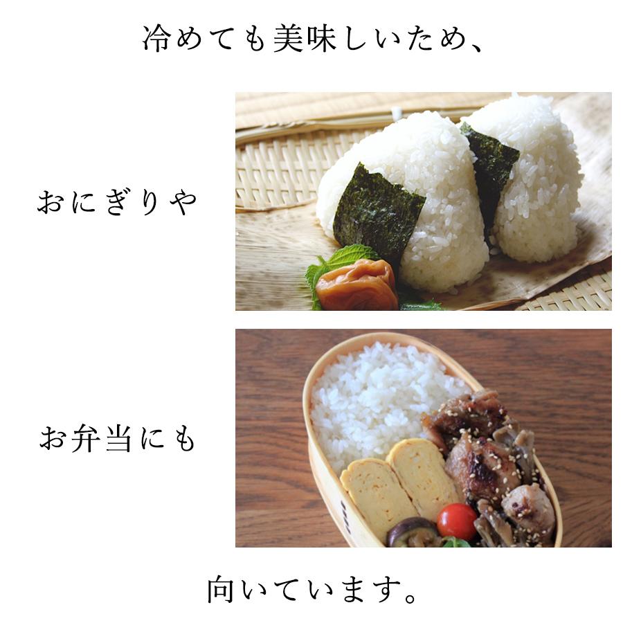 米 お米 5kg 令和5年産 仁多米 コシヒカリ 奥出雲町 仁多郡 島根県産 こしひかり 出雲國 にたまい 神話 和牛完熟堆肥  棚田｜ebarabo｜07