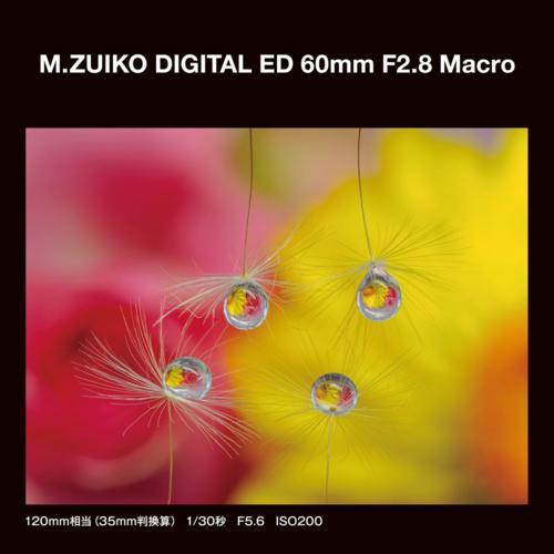 OM SYSTEM M.ZUIKO DIGITAL ED 60mm F2.8 Macro マイクロフォーサーズ