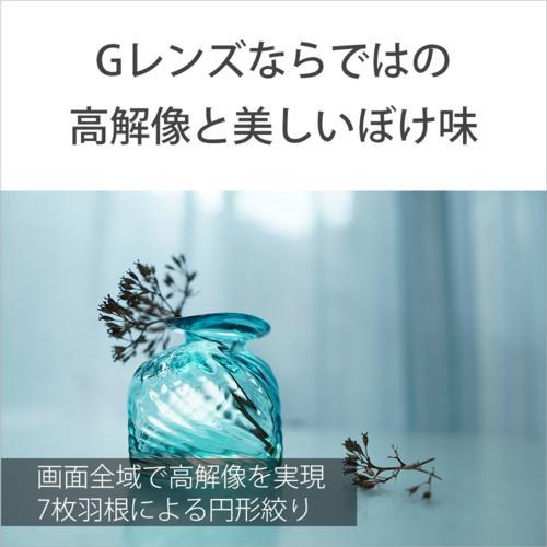 ソニー(SONY) E 15mm F1.4 G SEL15F14G Eマウント用 APS-C 単焦点