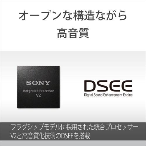 ソニー SONY WF-L910-BZ ブラック LinkBuds Open 完全ワイヤレスイヤホン Bluetooth5.3 WFL910BZの画像