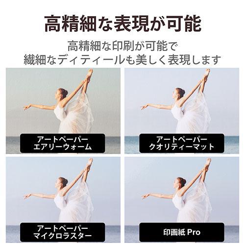 エレコム(ELECOM) EJK-PROA450(ホワイト) 写真用紙 印画紙Pro 厚手 EJK-PROシリーズ｜ebest｜04