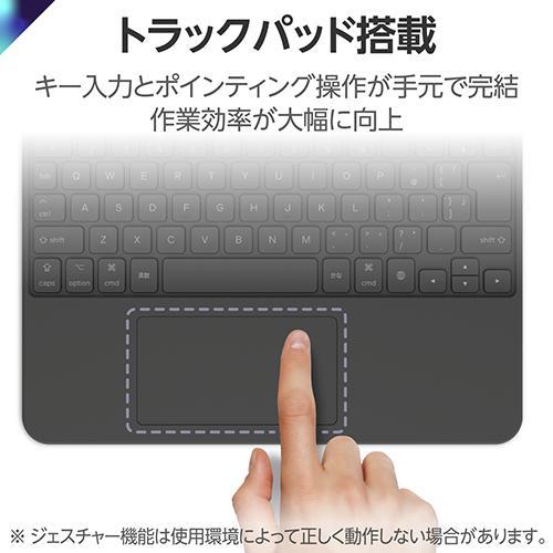 エレコム(ELECOM) TKCA11BPBK ブラック 11インチ M2 /10.9インチ 第5/4