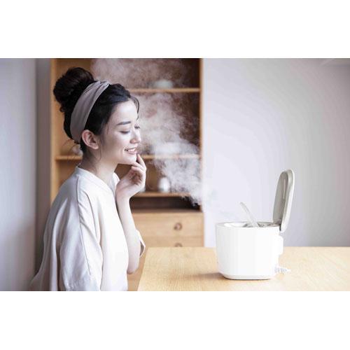 Panasonic（パナソニック） 【長期5年保証付】 EH-SA0B-N ゴールド調