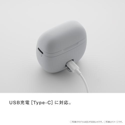 PANASONIC ES-P330U-A メンズシェーバー 概要 ラムダッシュ パームイン LITE P330U | メンズシェーバー | Panasonic