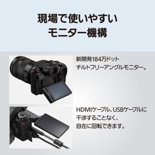 保証付パナソニックLUMIX S1ミラーレス一眼カメラ ズームレンズキット