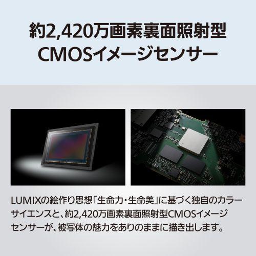 長期5年保証付】パナソニック Panasonic LUMIX S1IIE DC-S1M2ES