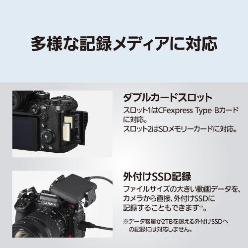 長期5年保証付】パナソニック Panasonic LUMIX S1IIE DC-S1M2ES