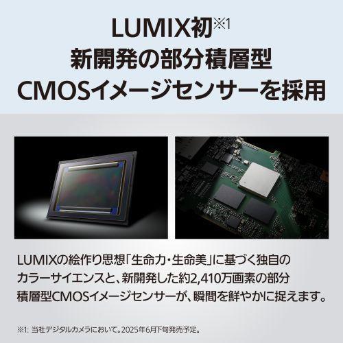 長期5年保証付】パナソニック(Panasonic) LUMIX S1II DC-S1M2 デジタル