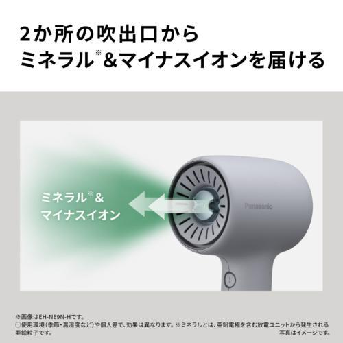 Panasonic（パナソニック） EH-NE9N-W（モダンホワイト）ヘアー