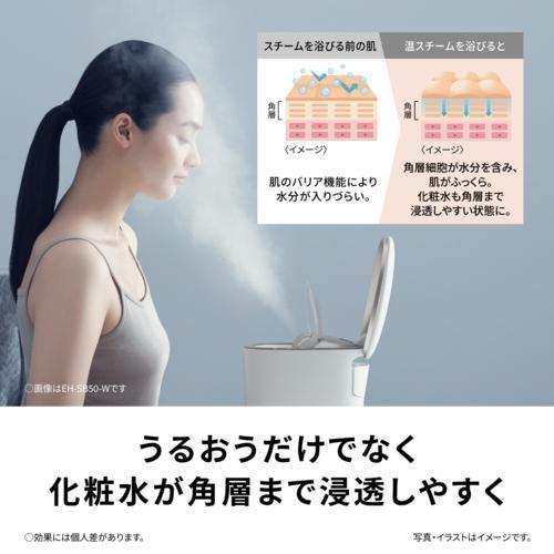 Panasonic（パナソニック） 化粧水ミスト搭載スチーマー フェイス