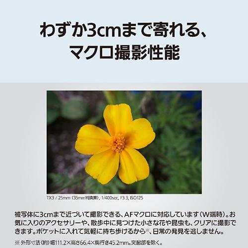 長期5年保証付】パナソニック(Panasonic) LUMIX TX3 ブラック