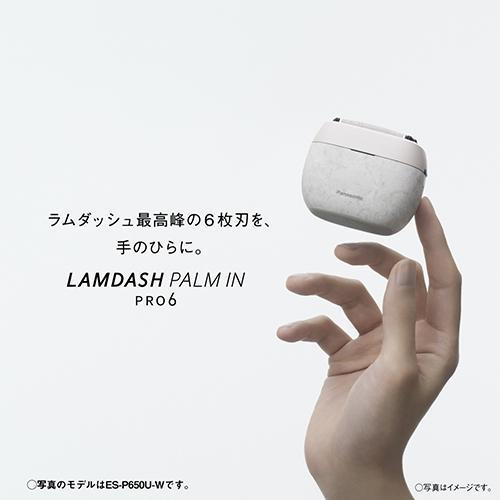 Panasonic（パナソニック） ES-P650U-K マーブルブラック ラムダッシュ