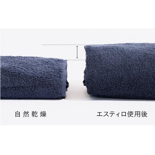 長期5年保証付】エスティロ(ESTILO) ILD-321UPB-JP シルバー