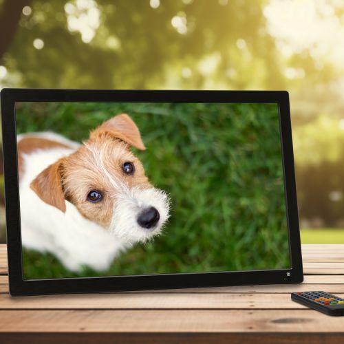 ダイアモンドヘッド  19型 ポータブル液晶テレビ 録画機能つき ダイヤモンドヘッド OT-CT190TE 19インチポータブル液晶テレビ 録画