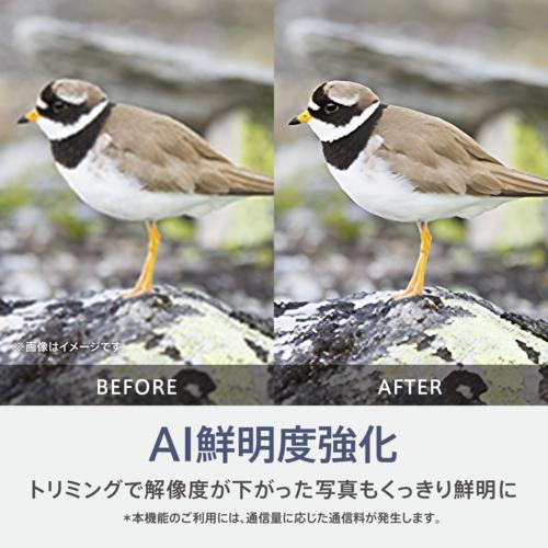 OPPO(オッポ) OPPO Reno15 A 6.6型 12GB/256GB アフターグロウピンク
