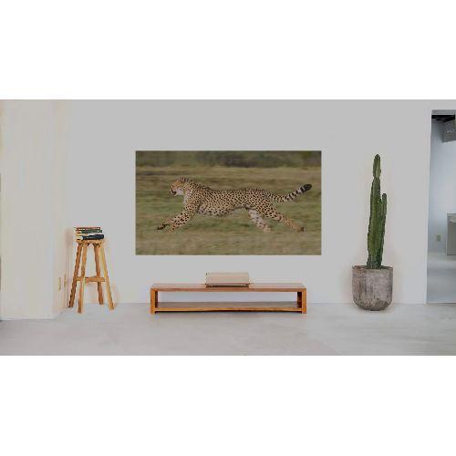 AladdinX(アラジンX) Aladdin Marca XM03F 超短焦点プロジェクター