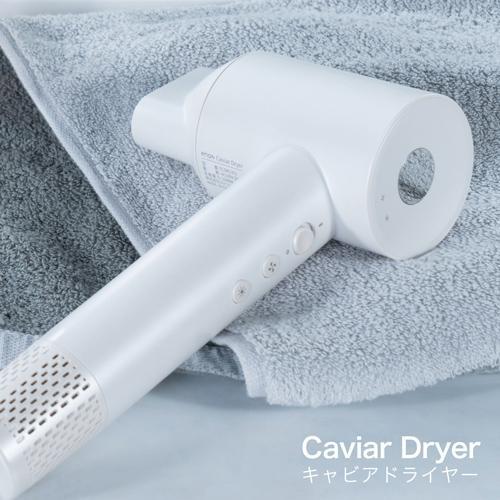 enas イーネーズ Caviar Dryer キャビアドライヤー 大風量 速乾 冷温
