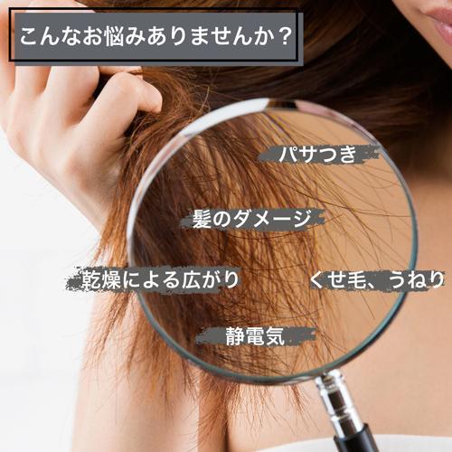 enas イーネーズ Caviar Dryer キャビアドライヤー 大風量 速乾 冷温