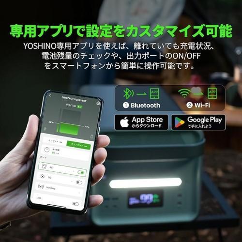 ヨシノパワージャパン(YOSHINO POWER JAPAN) YOSHINO B2000 SST 固体