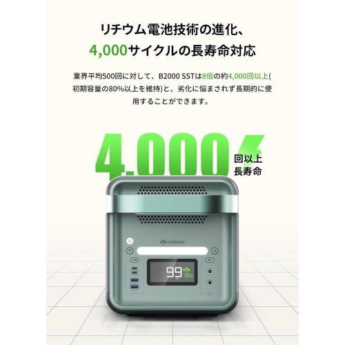 ヨシノパワージャパン(YOSHINO POWER JAPAN) YOSHINO B2000 SST 固体