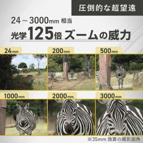 新品NIKON COOLPIX P1100 125倍ズーム メーカー保証送料無料 ニコン(Nikon) COOLPIX P1100 超望遠ズームデジタルカメラ 光学