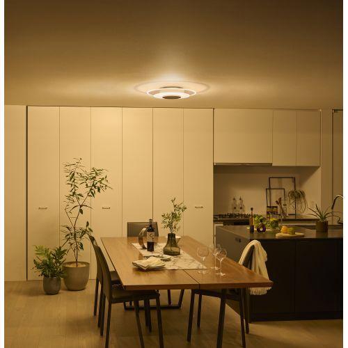 IRIS OHYAMA（アイリスオーヤマ） CEA-A08DLPW LEDシーリングライト