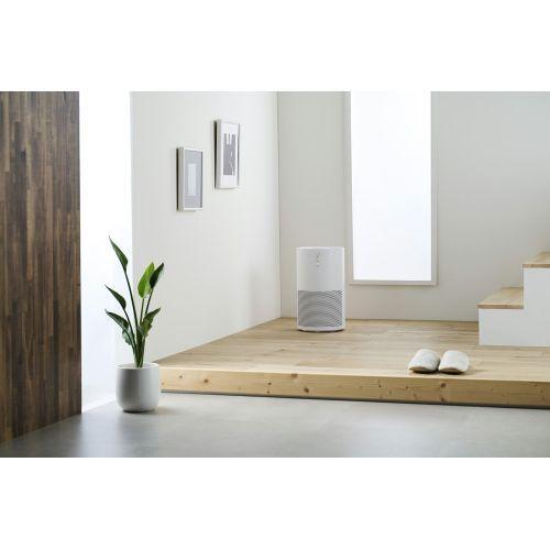 IRIS OHYAMA（アイリスオーヤマ） KAP-S302-W ホワイト 単機能空気清浄