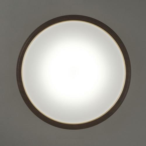 IRIS OHYAMA（アイリスオーヤマ） CEA12DL-5.0QWFM LEDシーリング