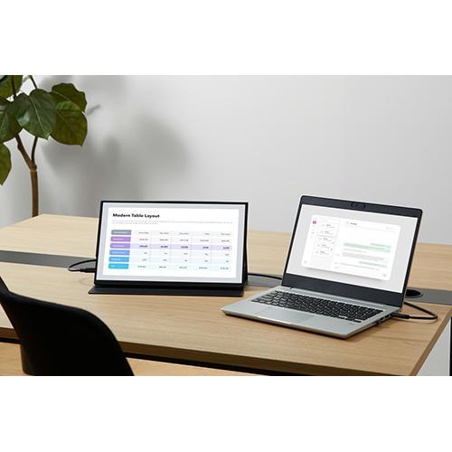 アイリスオーヤマ(Iris Ohyama) DP-EF164S-B ポータブルモニター 15.6V