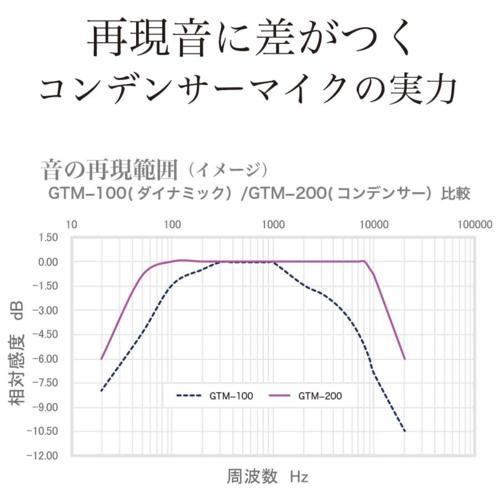 PENTATONIC(ペンタトニック) カラオケマイマイク Pro GTM-200 ステラ