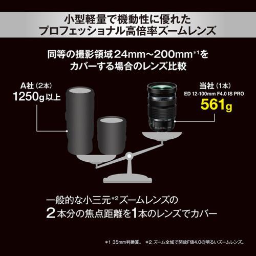 レンズ(ズーム) SONY E 70-350mmF4.5-6.3 G OSS SEL70-350G SONYα350(望遠レンズ×3)