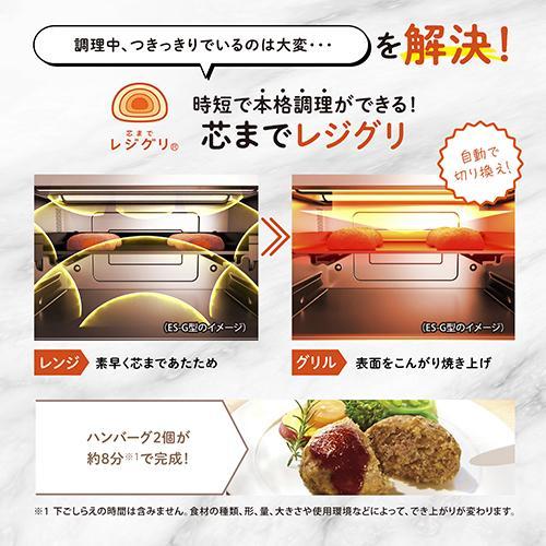 【長期保証付】象印(ZOJIRUSHI) ES-KA18-WM ペールホワイト EVERINOオーブンレンジ 18L_2