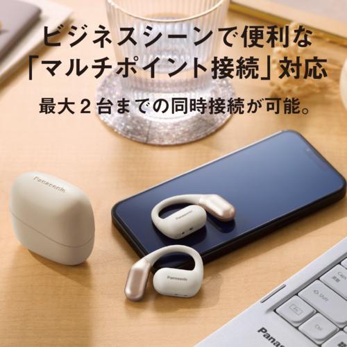 長期保証付】パナソニック(Panasonic) RB-F10D-K ブラック オープン型