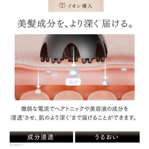 長期保証付】マイトレックス(MYTREX) MT-HSDX-24-B-B ブラック MYTREX