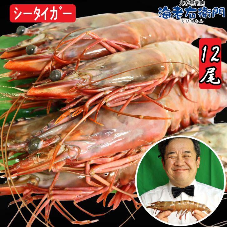 シータイガー 冷凍海老 特大 有頭 冷凍エビ 超特大 1.5kg 12尾 バングラデシュ産船凍結品 高い鮮度 天然有頭シータイガー 海老 エビ 大きい 冷凍えび 業務用 |  | 14