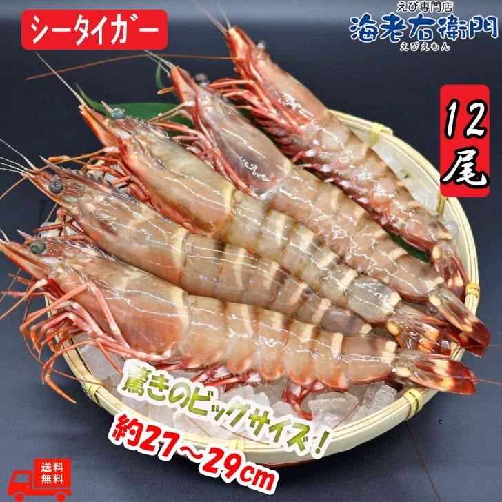 シータイガー 冷凍海老 特大 有頭 冷凍エビ 超特大 1.5kg 12尾 バングラデシュ産船凍結品 高い鮮度 天然有頭シータイガー 海老 エビ 大きい 冷凍えび 業務用 |  | 01