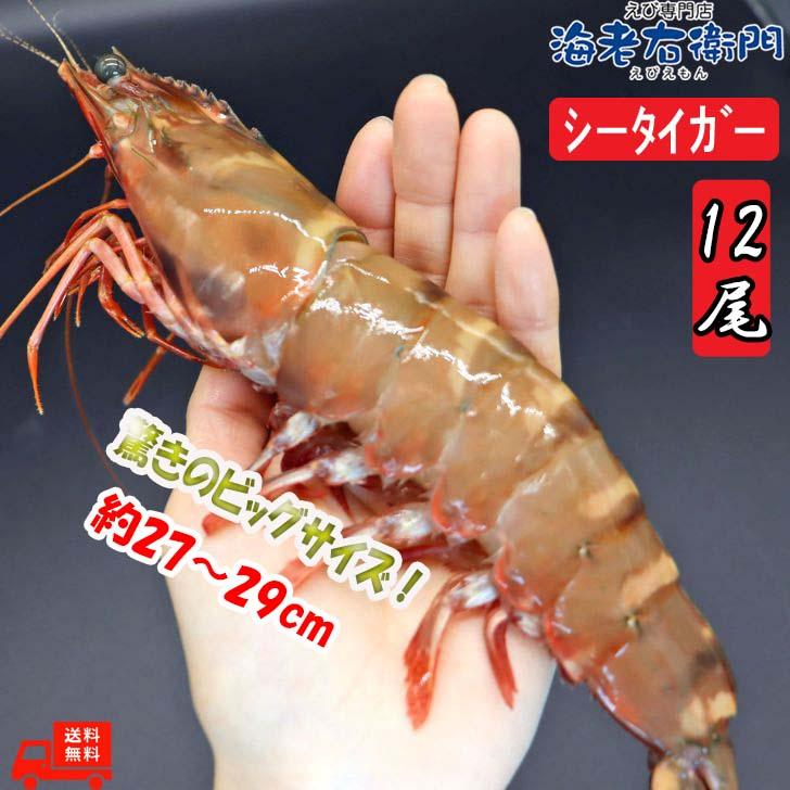 シータイガー 冷凍海老 特大 有頭 冷凍エビ 超特大 1.5kg 12尾 バングラデシュ産船凍結品 高い鮮度 天然有頭シータイガー 海老 エビ 大きい 冷凍えび 業務用 |  | 03