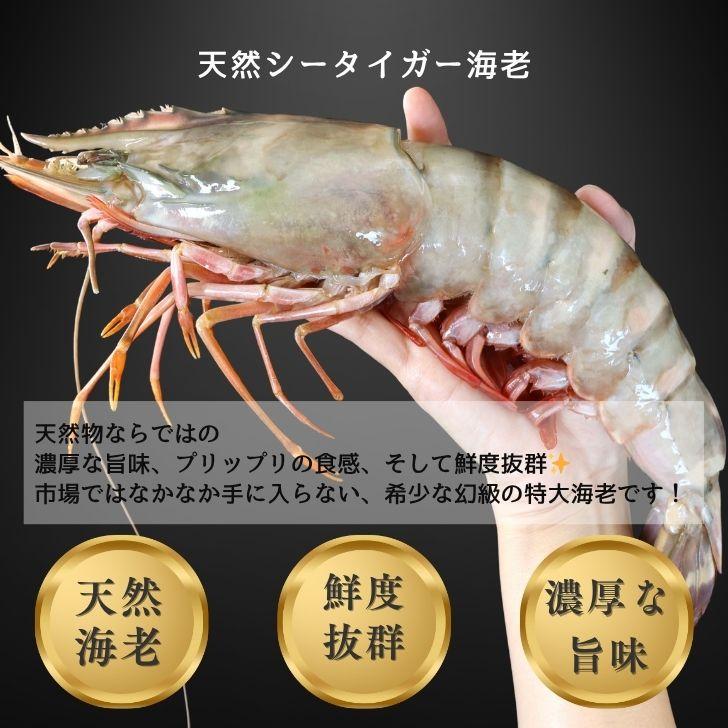 シータイガー 冷凍海老 当店最大 有頭 特大 冷凍エビ 超特大 天然有頭シータイガーえび 1.5kg 5尾サイズ 1尾あたり300ｇ前後！ バーベキュー エビフライ 業務用 |  | 12