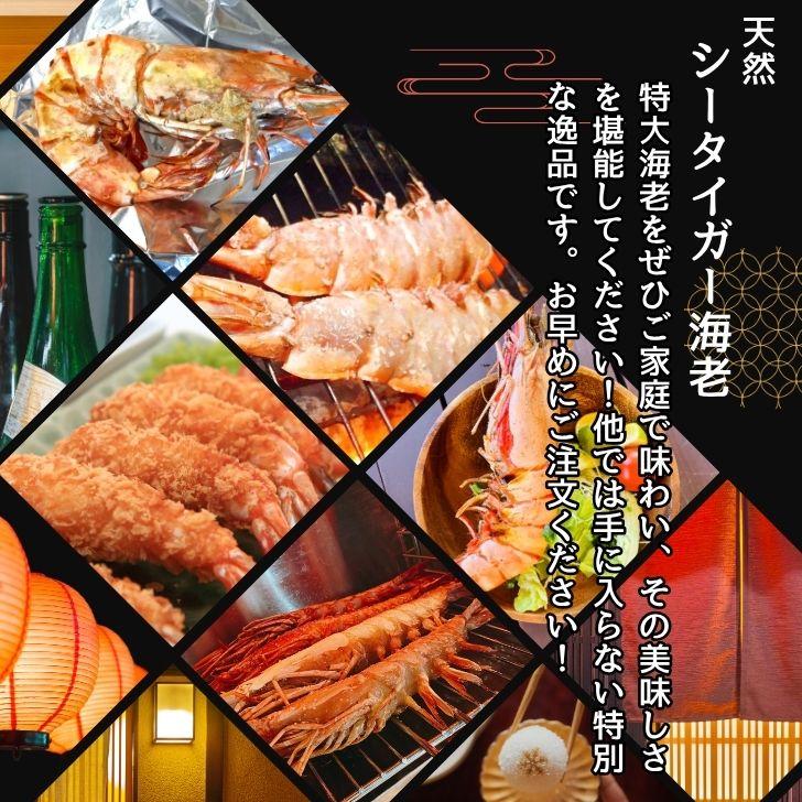 シータイガー 冷凍海老 当店最大 有頭 特大 冷凍エビ 超特大 天然有頭シータイガーえび 1.5kg 5尾サイズ 1尾あたり300ｇ前後！ バーベキュー エビフライ 業務用 |  | 13
