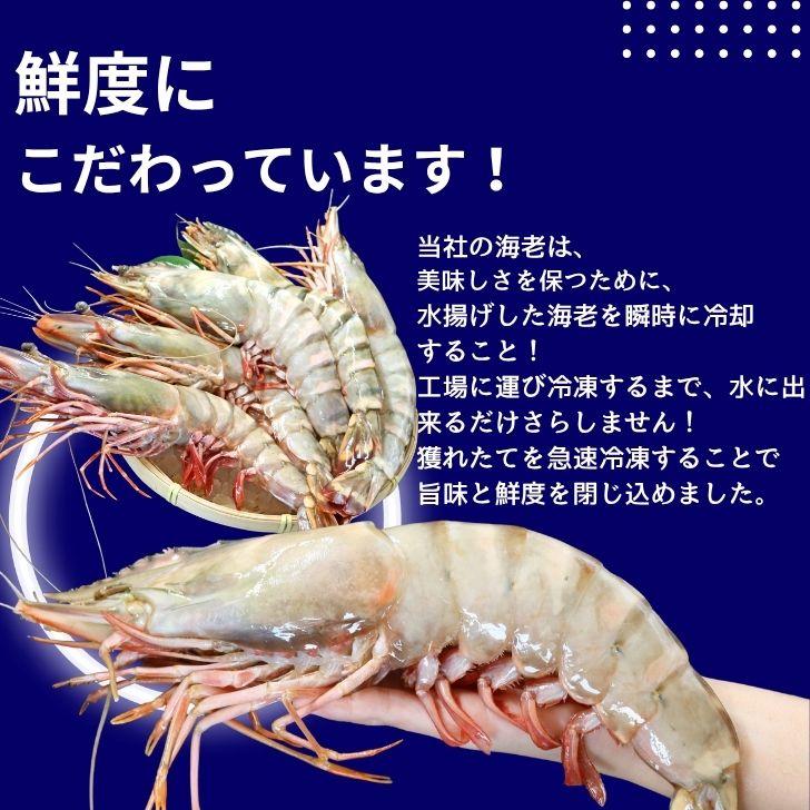 シータイガー 冷凍海老 当店最大 有頭 特大 冷凍エビ 超特大 天然有頭シータイガーえび 1.5kg 5尾サイズ 1尾あたり300ｇ前後！ バーベキュー エビフライ 業務用 |  | 14