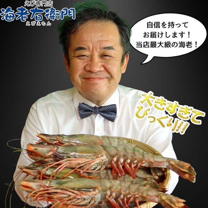 シータイガー 冷凍海老 当店最大 有頭 特大 冷凍エビ 超特大 天然有頭シータイガーえび 1.5kg 5尾サイズ 1尾あたり300ｇ前後！ バーベキュー エビフライ 業務用 |  | 16